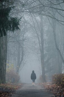 Menina andando na névoa por um beco com seu cachorro em obninsk