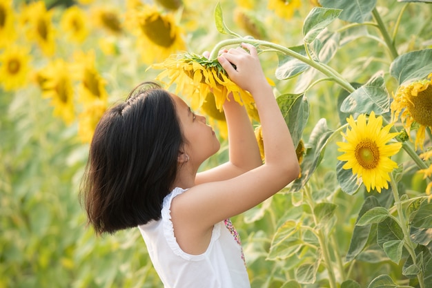 Menina asiática feliz se divertindo entre os girassóis florescendo sob os suaves raios do sol.
