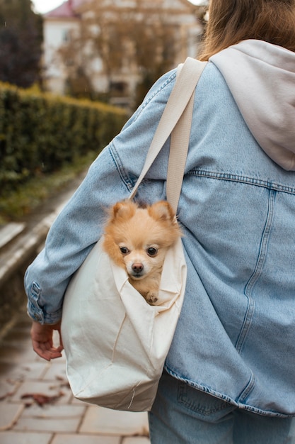 Foto grátis menina carregando bolsa com vista traseira do cachorro
