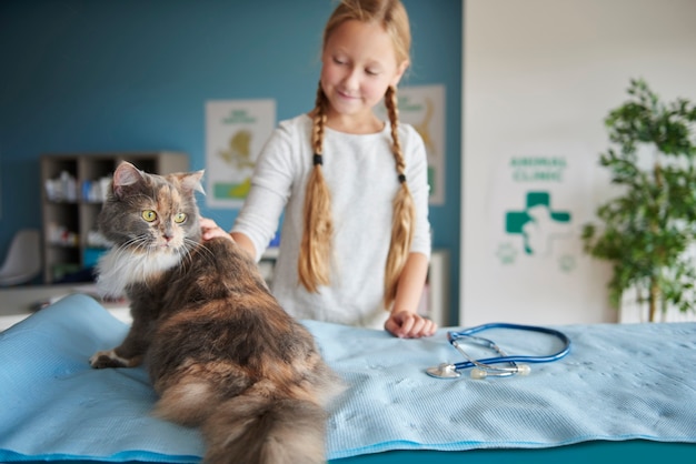 Menina e seu gato no veterinário