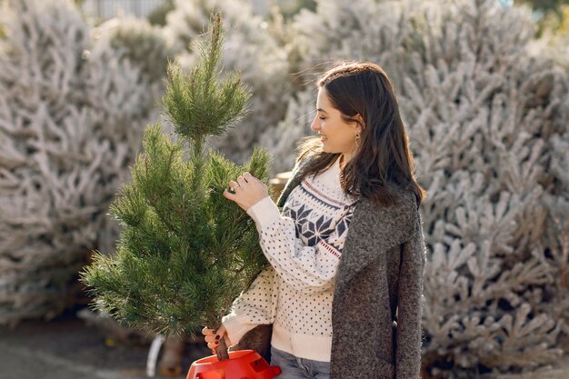 Menina elegante compra uma árvore de Natal.