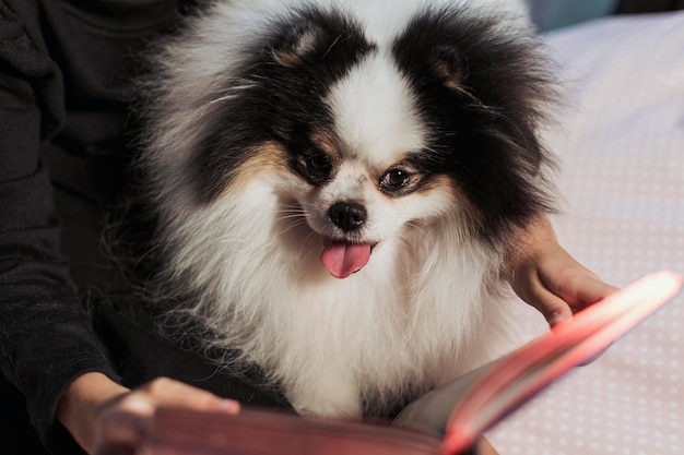Menina lendo um livro para o cachorro