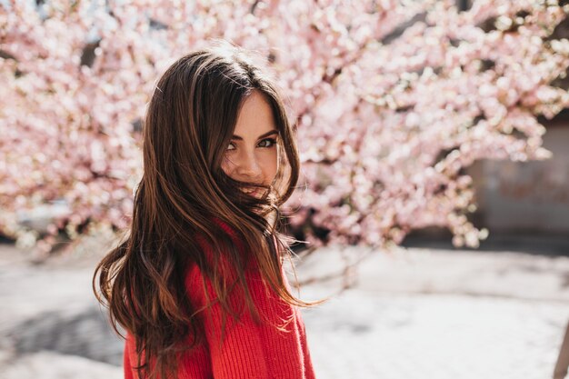 Menina morena espetacular em suéter brilhante olha para a câmera no fundo de sakura. Mulher de cabelos escuros em roupa vermelha sorrindo do lado de fora enquanto caminha