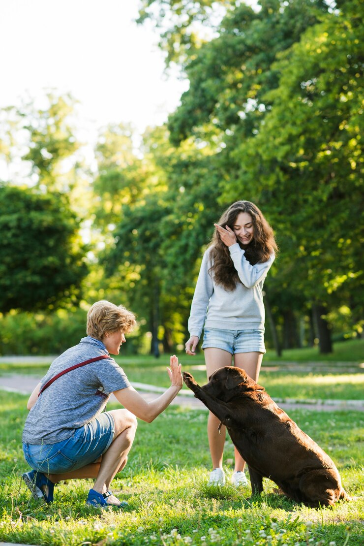 Foto grátis menina, olhar, mulher, dar, alto, cinco, para, dela, cão, parque