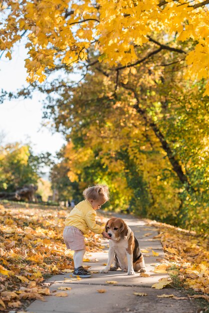 Menina pequena, alimentando seu ponto de beagle no parque