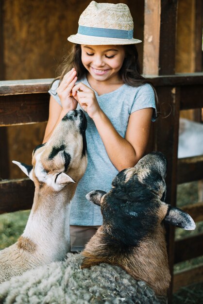 Menina sorridente, alimentando ovelhas e ovelhas na fazenda