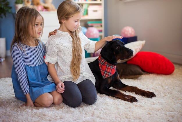 Meninas e cachorro sentados em uma fileira