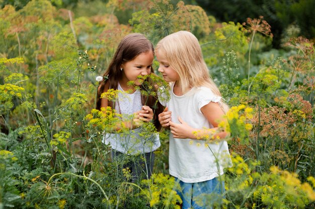 Meninas em tiro médio cheirando plantas