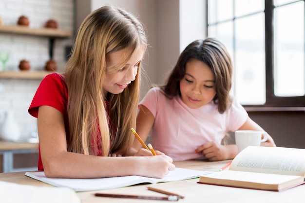 Meninas multiétnicas inteligentes fazendo lição de casa juntos