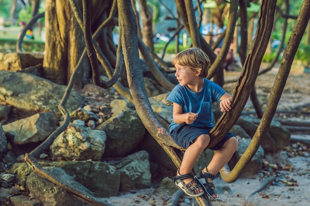 Menino assistindo lianas tropicais em florestas tropicais úmidas.