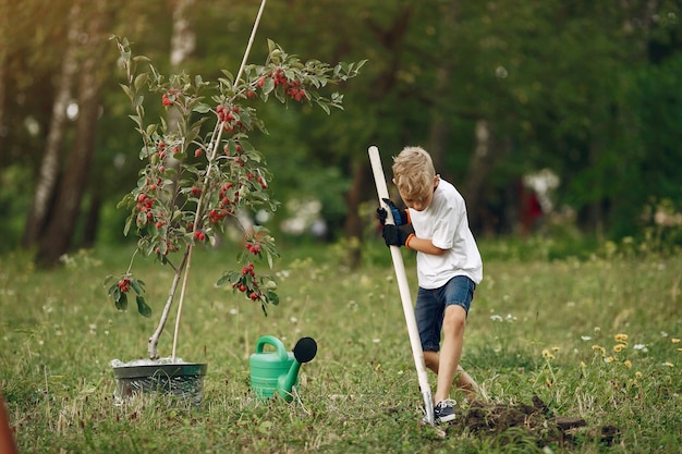 Menino bonitinho plantando uma árvore em um parque