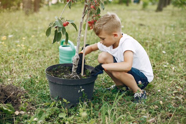 Menino bonitinho plantando uma árvore em um parque