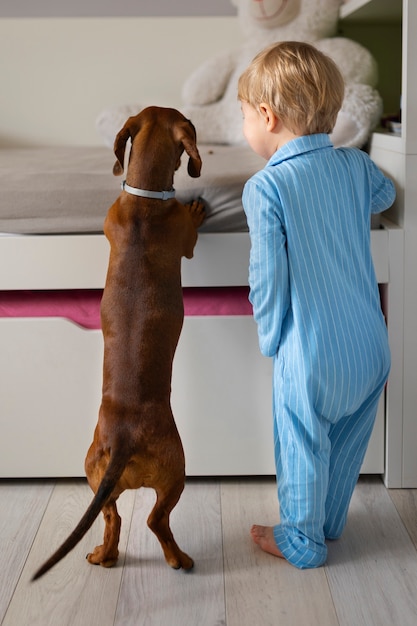 Foto grátis menino de tiro completo brincando com cachorro