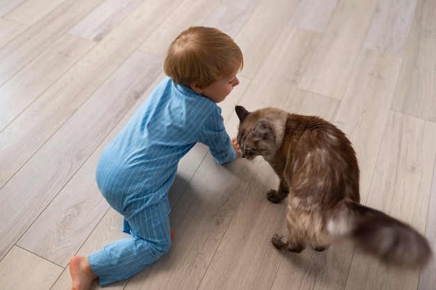 Foto grátis menino de tiro completo brincando com gato