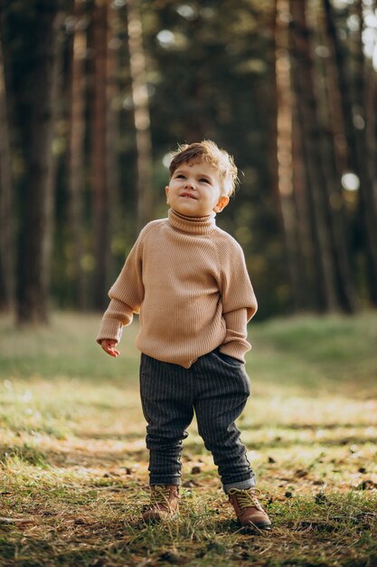 Menino fofo na floresta outonal