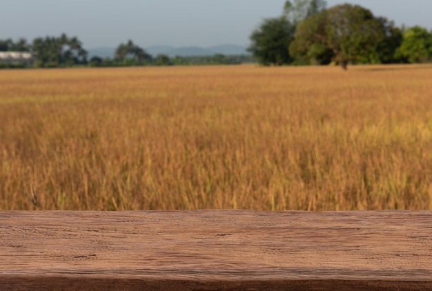 Mesa de madeira vazia e fundo de campo de arroz turva. para exposição de produto de montagem.