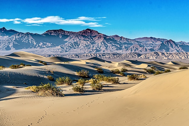 Mesquite Sand Dunes no Parque Nacional do Vale da Morte na Califórnia, EUA