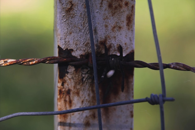 Foto grátis metal oxidado