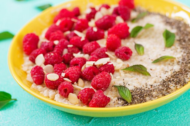 Mingau de aveia saboroso e saudável com chia de framboesa e linho. Café da manhã saudável. Comida de fitness. Nutrição apropriada