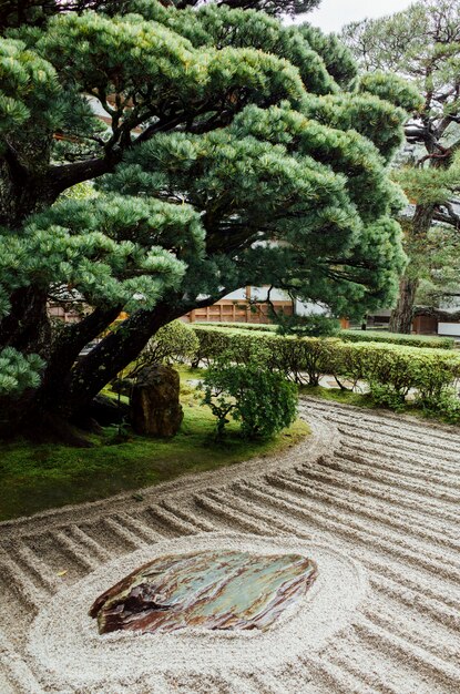 mínimo de árvores e jardim japão