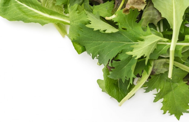 Mistura de salada com alface de rucola, frisee, radicchio e cordeiro