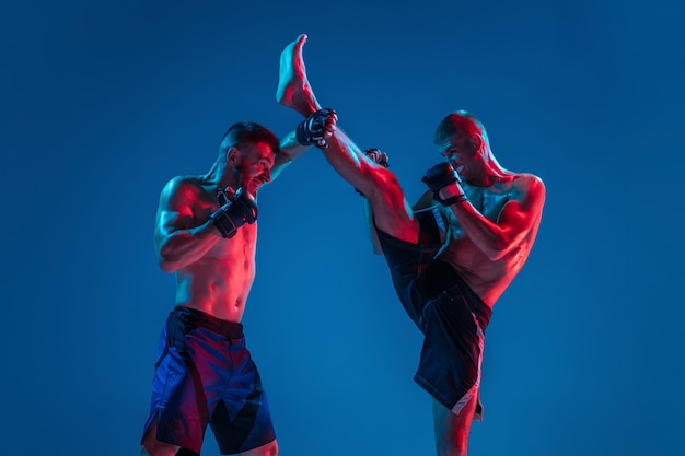 MMA. Dois lutadores profissionais socando ou boxeando isolados na parede azul em neon