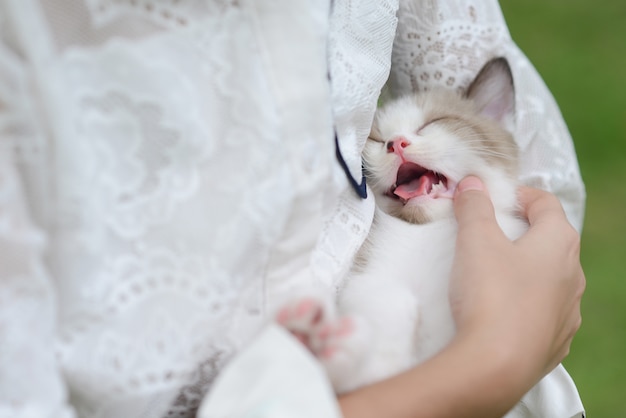 Moça asiática que guarda gatinhos no parque