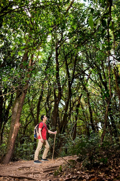 Foto grátis mochileiro, olhar, cima