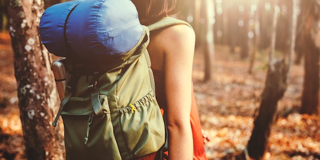 Foto grátis mochileiro viajando na floresta sozinho