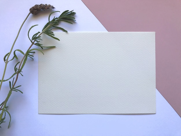 Modelo de papel aquarela rosa e branco elegante com flores