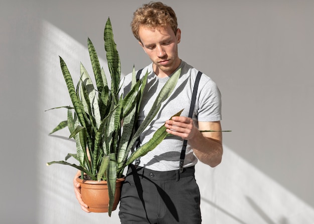 Modelo masculino segurando uma vista frontal da planta