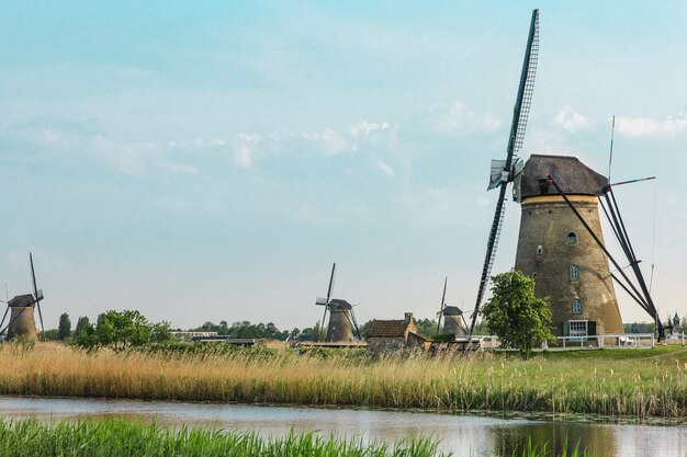 Moinhos de vento holandeses tradicionais com grama verde em primeiro plano, Holanda