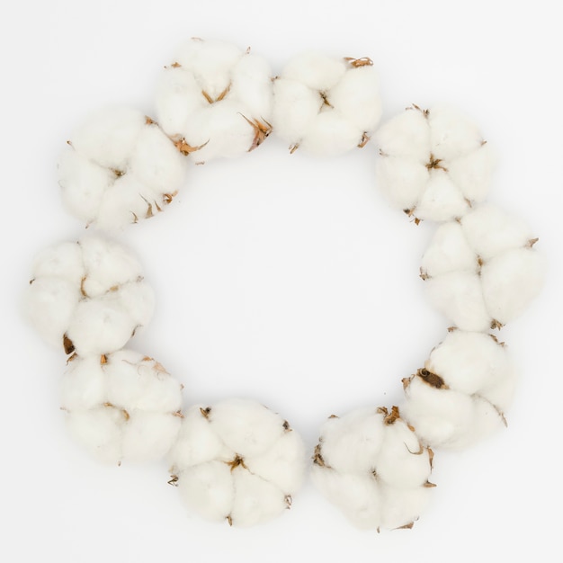 Moldura circular de vista superior com flor de algodão branco