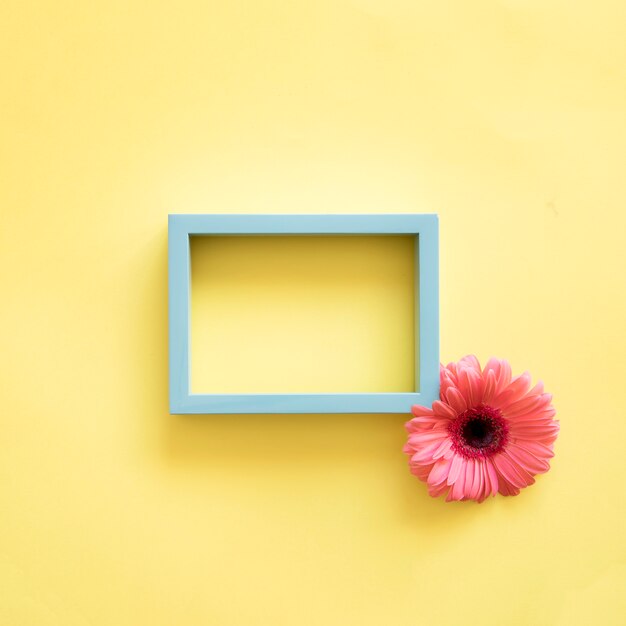Moldura e flor