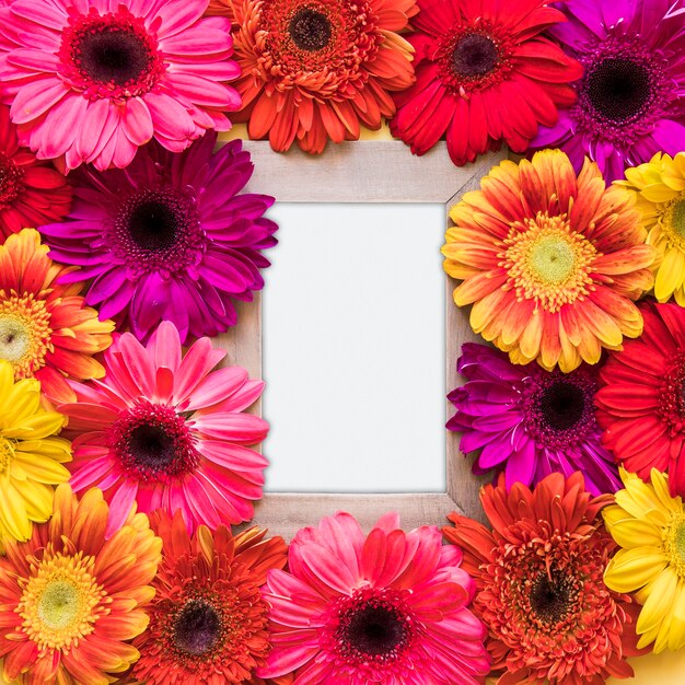 Moldura em branco em diferentes flores