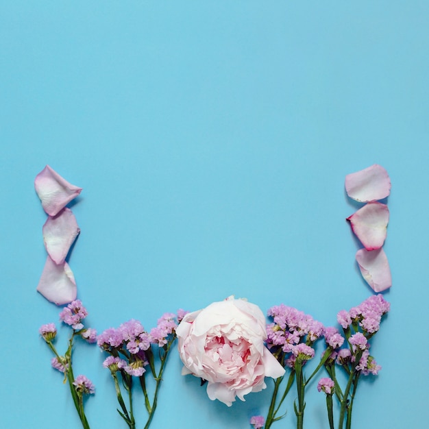 Moldura feita de flor de peônia e pétalas de rosa sobre fundo azul
