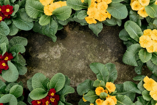 Foto grátis moldura plana leiga com flores e fundo de estuque