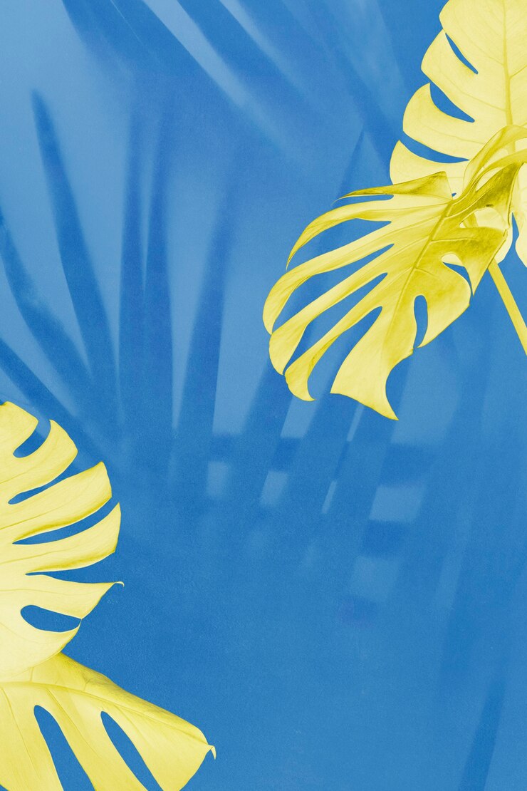 Foto grátis monstera amarela e folhas de sombra de palmeira em fundo azul