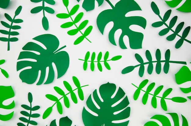 Monstera tropical plantas no estilo de papel cortado