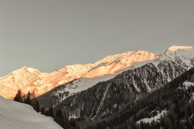 Montanha coberta de neve brilhada pelo sol