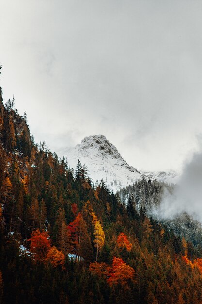 Montanha coberta de neve durante o dia