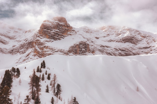 Foto grátis montanha coberta de neve