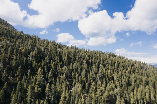 Montanha coberta por floresta e céu azul