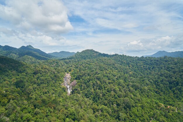 Montanha com árvores visto de cima