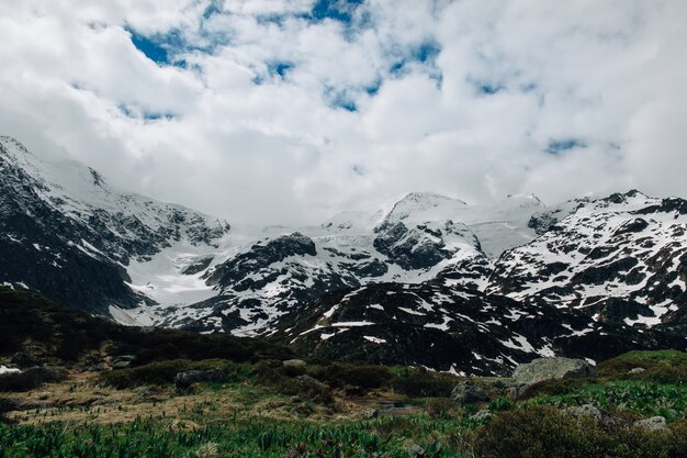 Montanha nevado em alpes suíços. Paisagem de verão