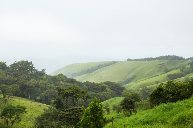 Montanha verde pacífica na costa rica tropical