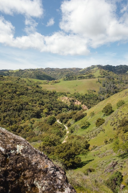 Foto grátis montanha verde