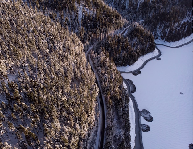 Montanhas e florestas cobertas de neve na transilvânia, romênia