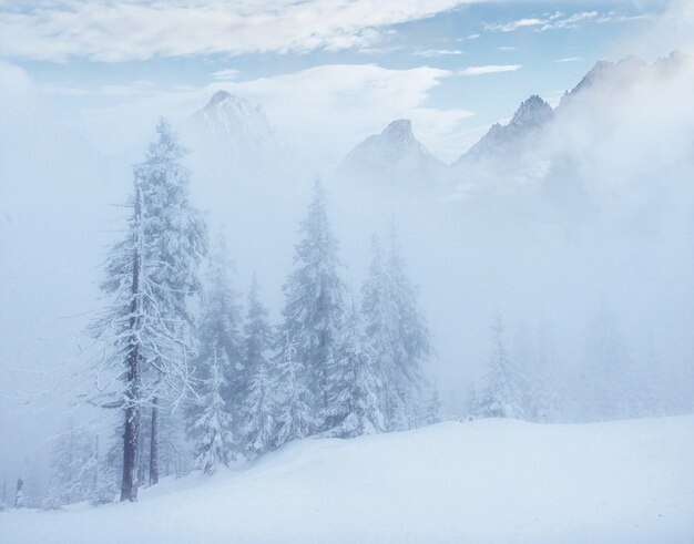 Montanhas misteriosas da paisagem misteriosa do inverno no inverno.