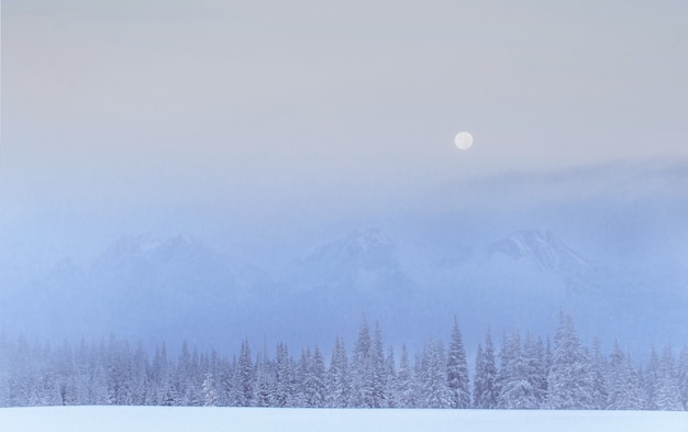 Foto grátis montanhas misteriosas da paisagem misteriosa do inverno no inverno.